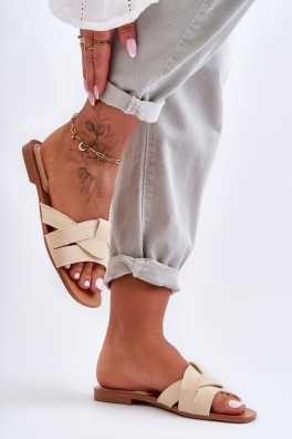 Šlepetės model 183493 Step in style