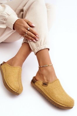 Šlepetės model 188668 Step in style