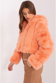 Striukė model 189524 AT