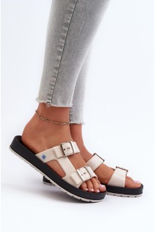 Šlepetės model 197654 Step in style