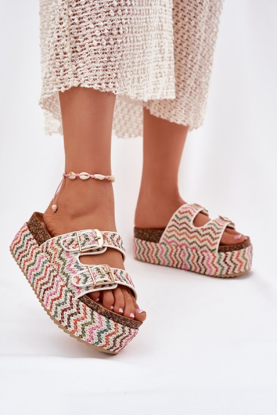 Šlepetės model 213948 Step in style