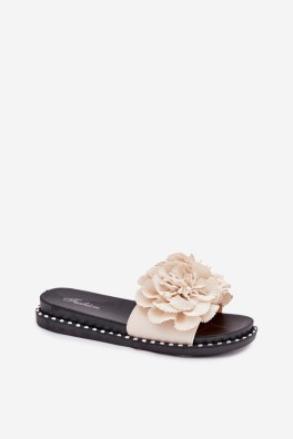 Šlepetės model 214503 Step in style