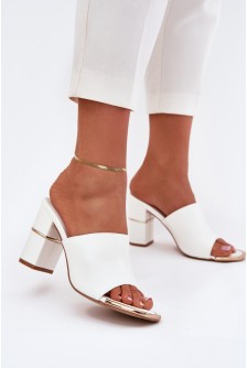 Šlepetės model 215418 Step in style